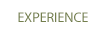 Experience
